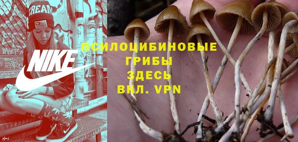 каннабис Горно-Алтайск