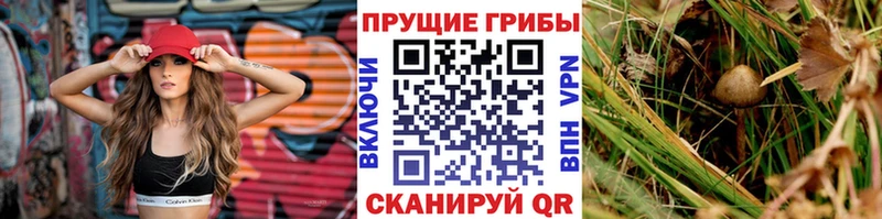 где купить наркотик  Абакан  МЕГА ССЫЛКА  Галлюциногенные грибы мицелий 